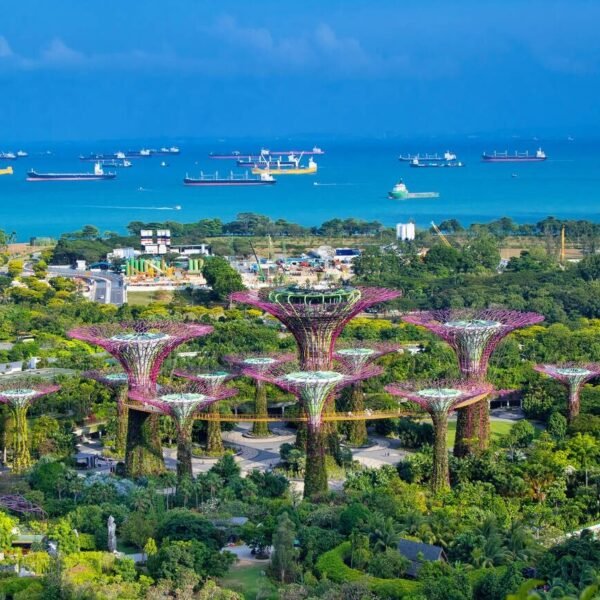 Gardens by the bay , Singapore