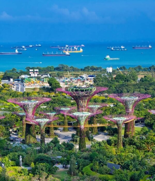 Gardens by the bay , Singapore