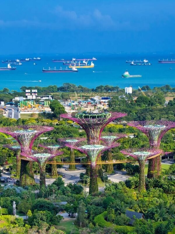 Gardens by the bay , Singapore