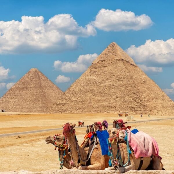 Pyramids of Giza in Cairo