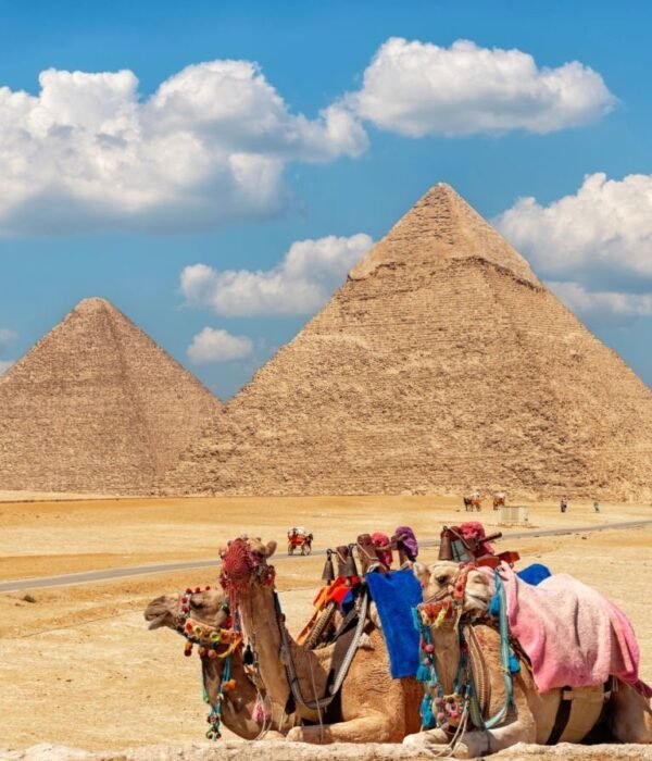 Pyramids of Giza in Cairo