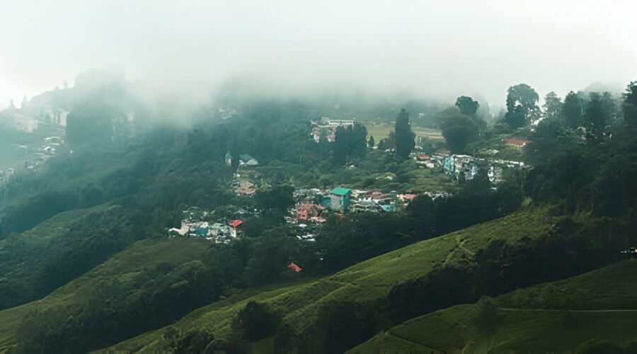 Darjeeling Tour Package