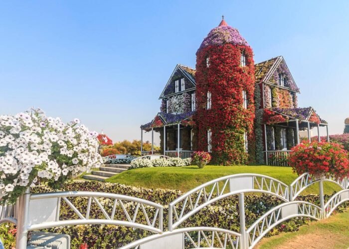 Dubai-House covered in flowers at Dubai's Miracle Garden, largest natural flower garden in the world