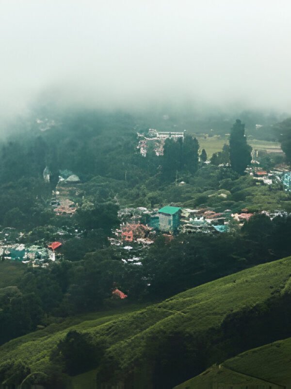 Darjeeling Tour Package