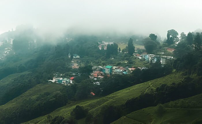 Darjeeling Tour Package