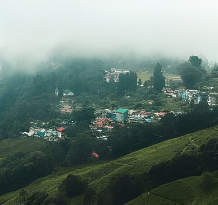 Darjeeling Tour Package