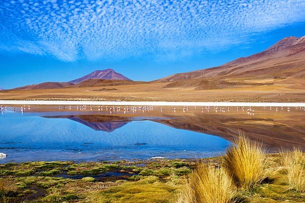 Bolivia in Incredible Scenes & Hidden Gems