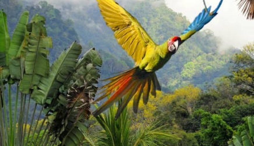 Discovering Undiscovered Treasures & Amazing Scenes in Costa Rica