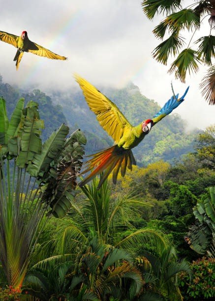 Discovering Undiscovered Treasures & Amazing Scenes in Costa Rica