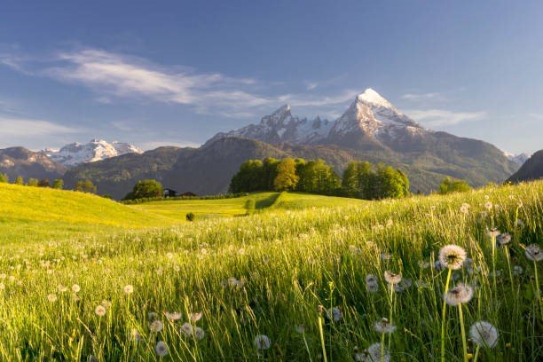 A Comprehensive Guide to Exploring the Wonders of Germany