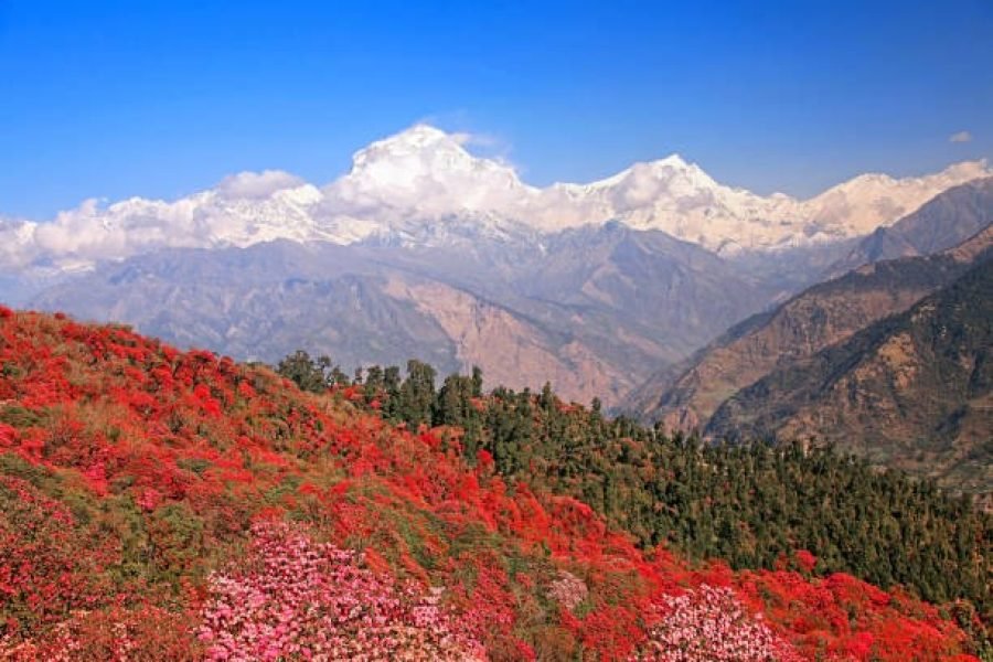 Exotic Bhutan In 7 Days
