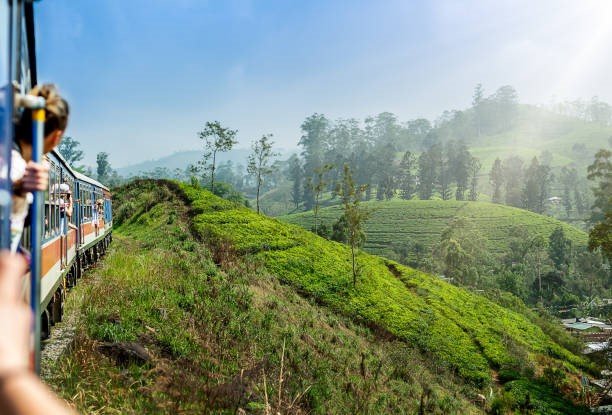 Unveiling the Wonders of Sri Lanka: A Comprehensive Guide for Explorers