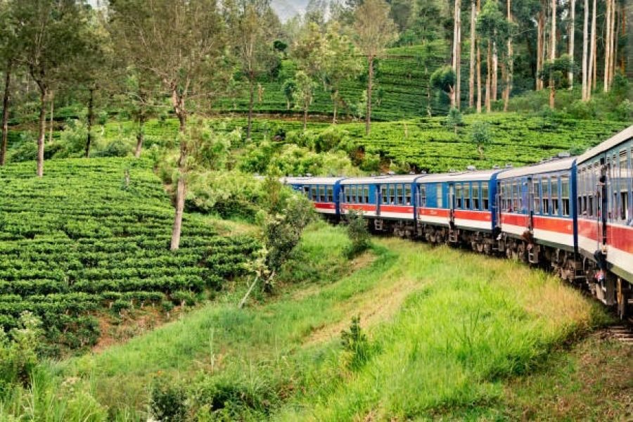 Colombo Special 3 Days Tour