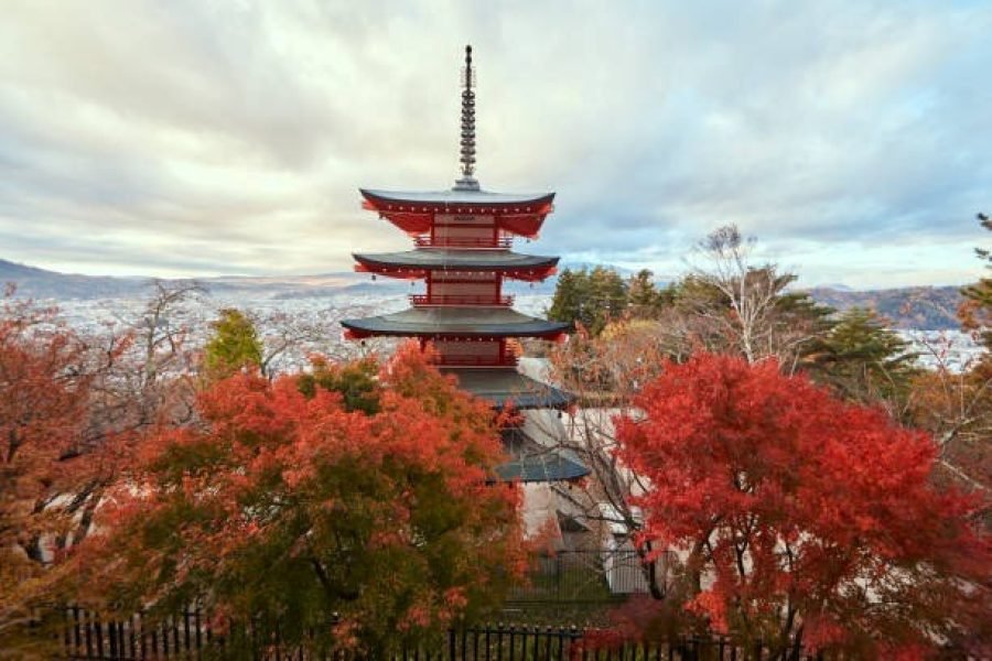 Tokyo Kyoto Osaka & Hiroshima Tour Package 10 Days