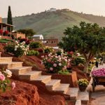 explore taif attractions activities